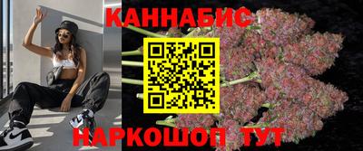 стафф Краснознаменск
