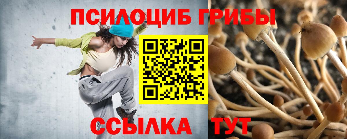Псилоцибиновые грибы мухоморы Шадринск