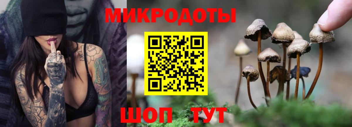 Шадринск  Псилоцибиновые грибы Cubensis  Вход с VPN  Галлюциногенные грибы MAGIC MUSHROOMS 