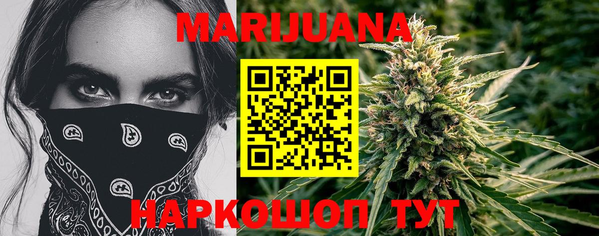 Канабис план Шадринск